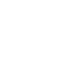 Toro Success Collaborative