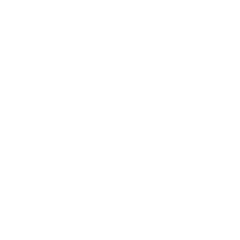 Toro Dreamers