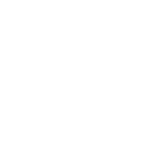 Toro Link
