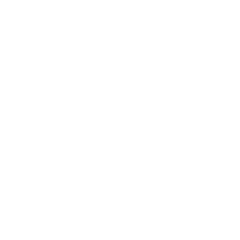DH Police