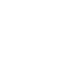 Evisions Cayuse 424