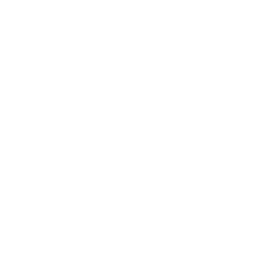 Maxient Incident Reporting form